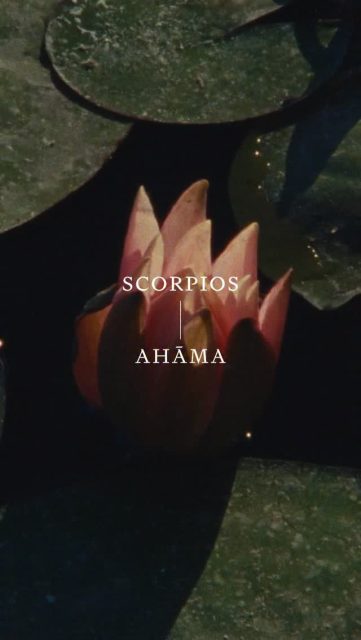Scorpios x Ahãma. A curated itinerary arriving soon. @scorpios.bodrum @ahamaliving